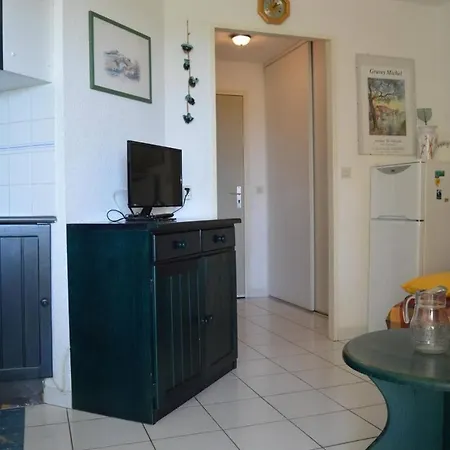 Apartament 2 Pieces 4 Couchages Cyprien Sc050-037d